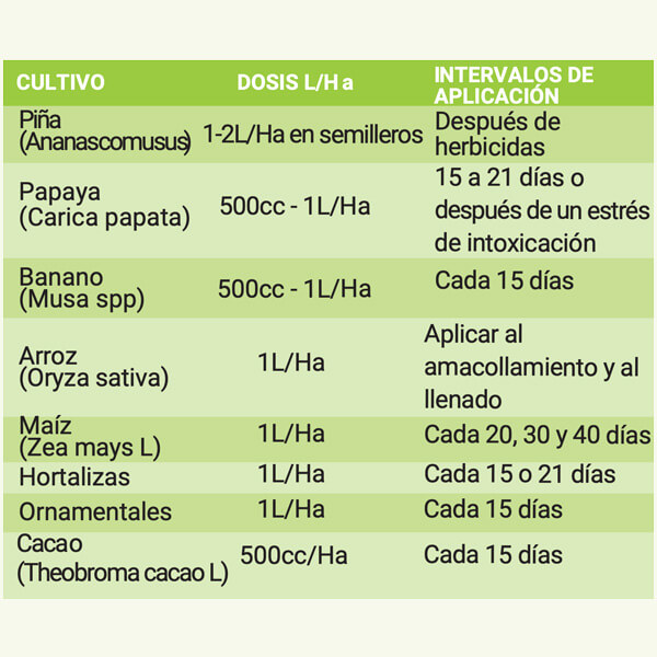 AMINOFISH® - Imagen 3