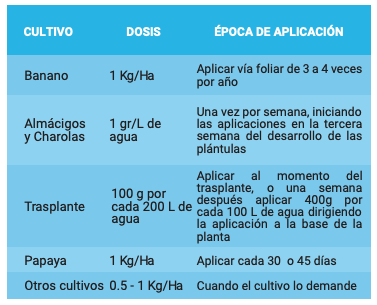 PROROOT® - Imagen 3