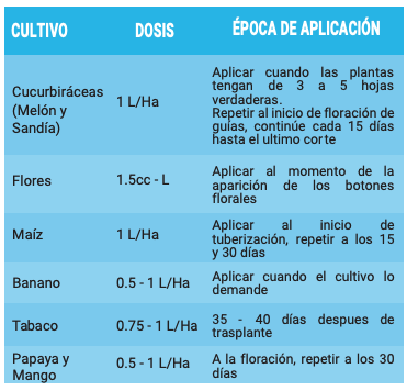 IMPULSSOR® - Imagen 3