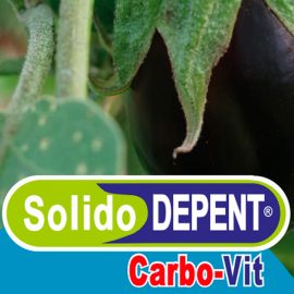 CARBO-VIT SÓLIDO DEPENT