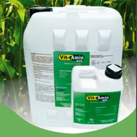 VIT-AMIN CA