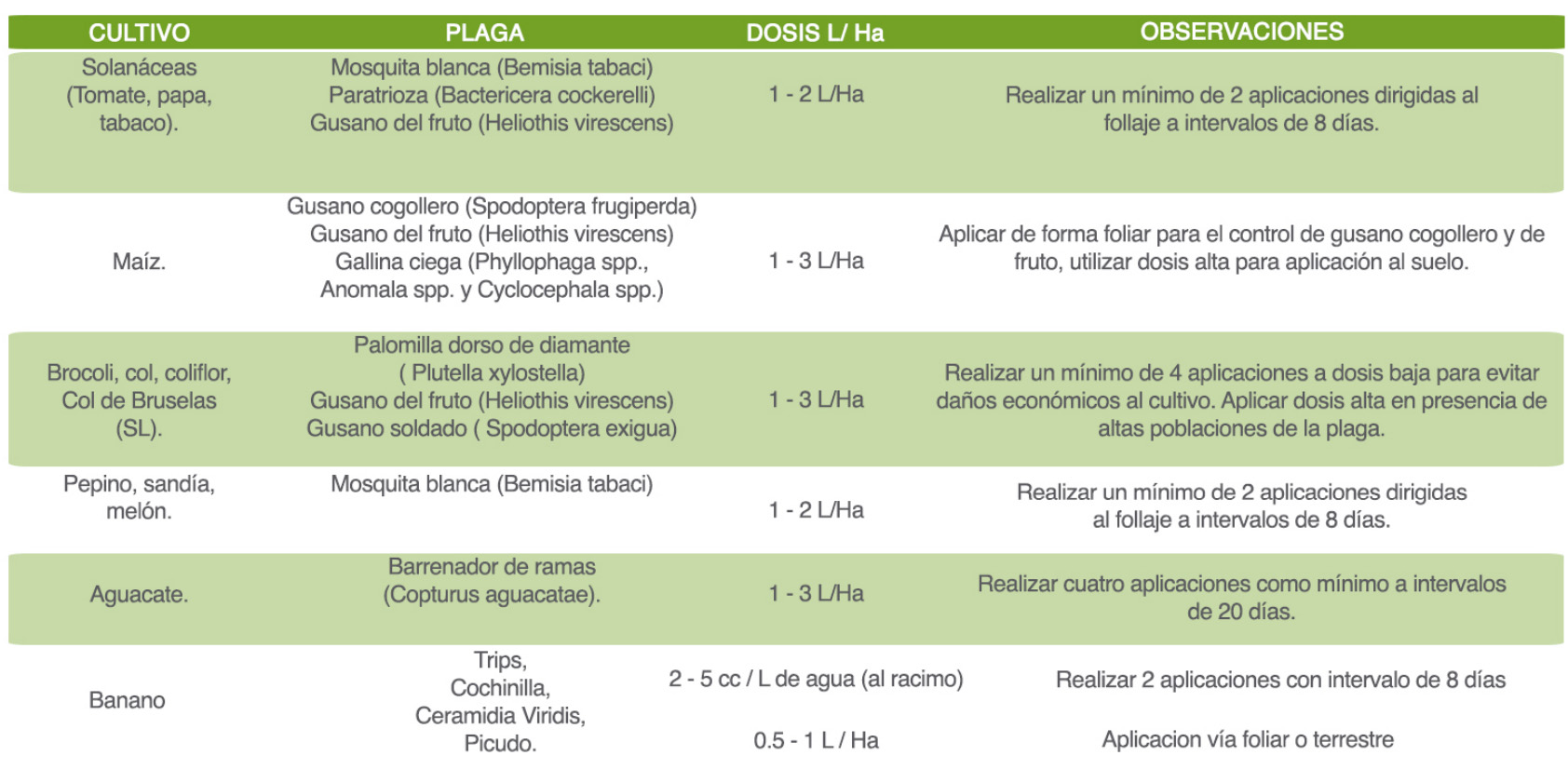 BIOTECH BMI LT® - Imagen 4