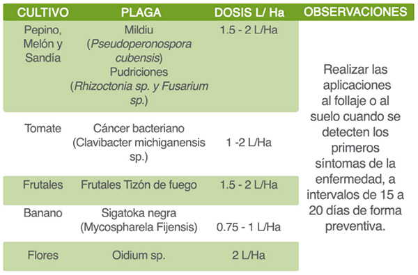 BIOTIKA® - Imagen 4