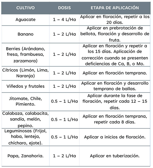 NERTHUS Ca B Mo - Imagen 2